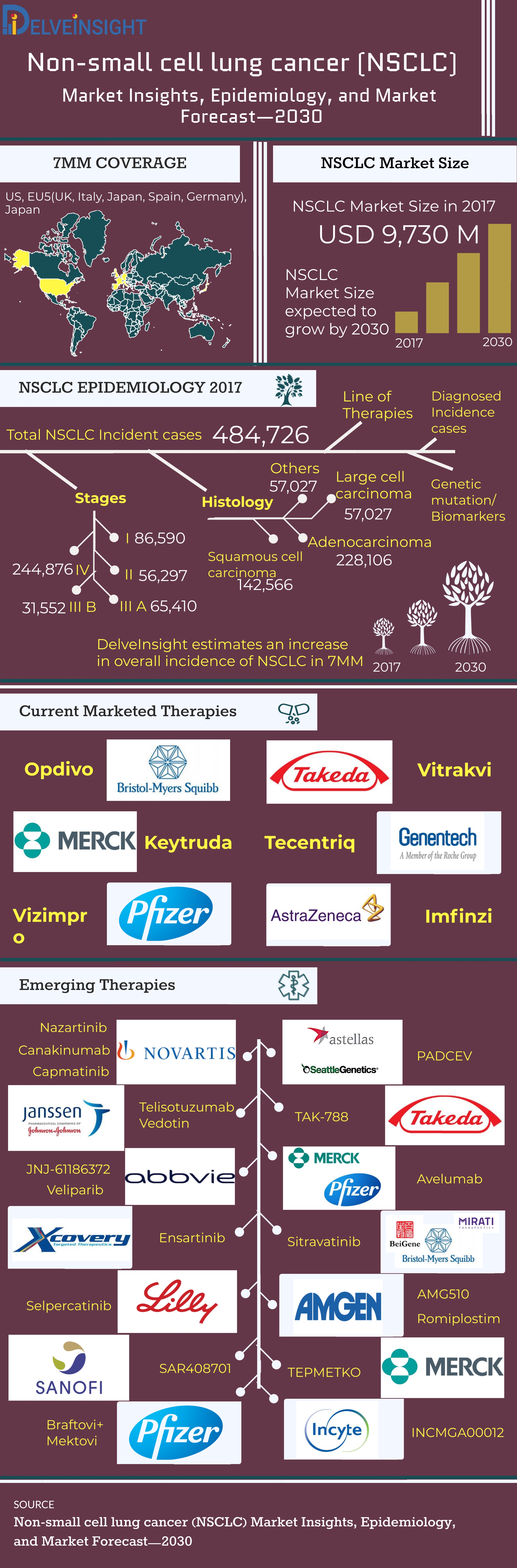 Non-Small Cell Lung Cancer Market: Overview, Historical and Forecast Epidemiology Analysis, Pipeline, and Forecast 2017-30