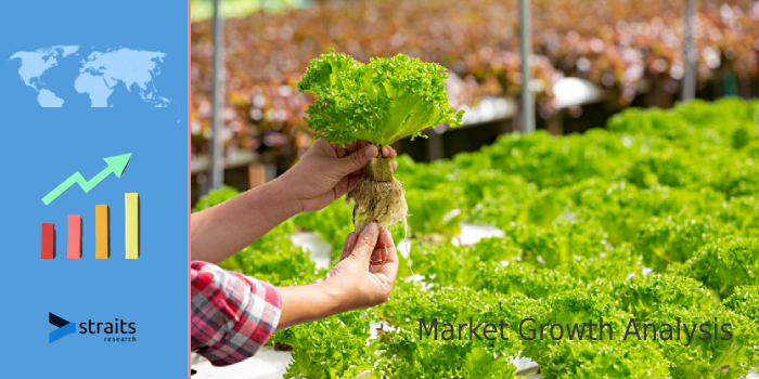 Indoor Farming Market 2021 | High Growth Prediction Due To Rising Demand And Future Trends, Key Restraints, Driving Factors And Forecast by 2027 | AeroFarms, Gotham Greens, Green Spirit Living Farm.