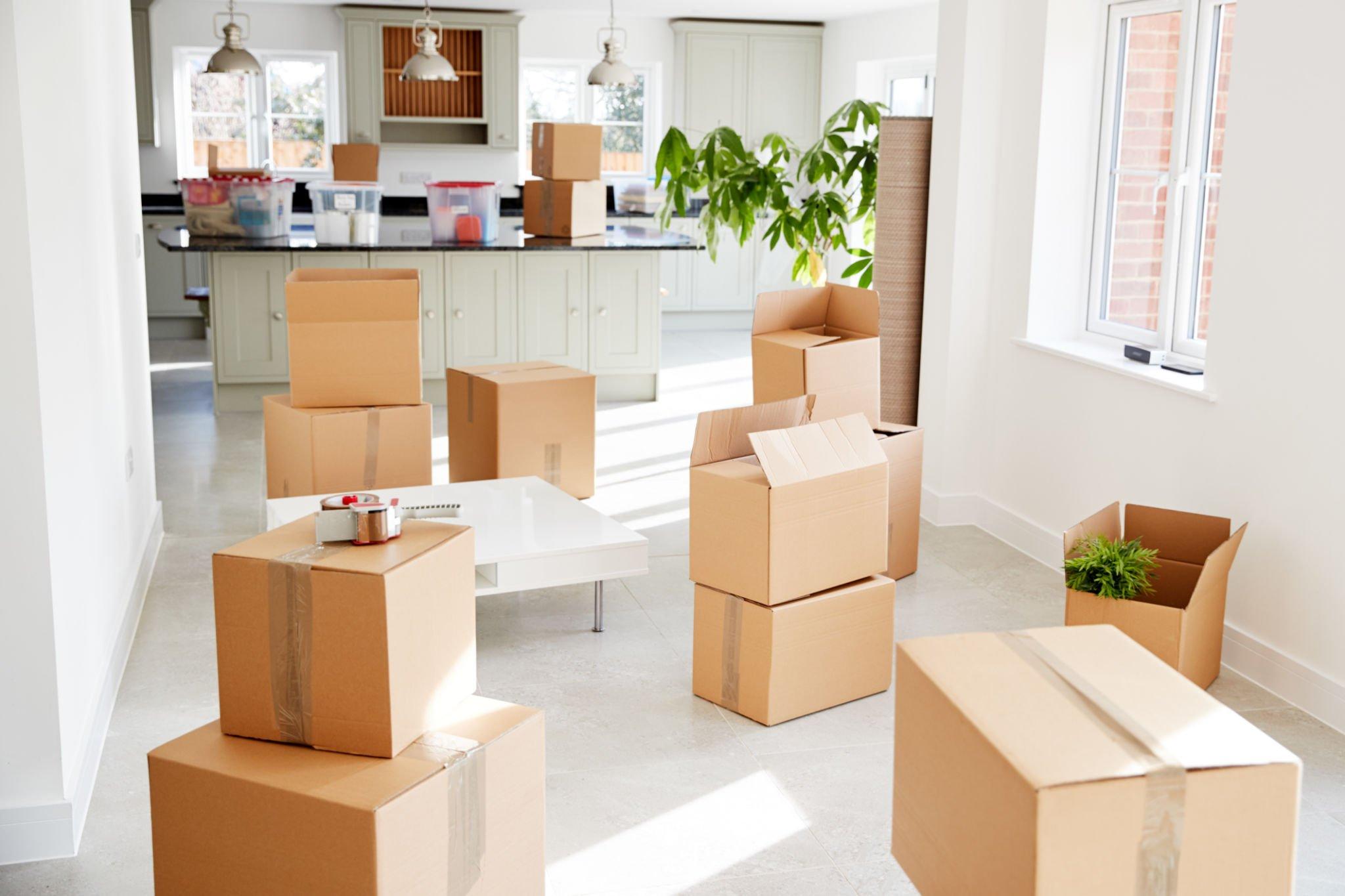 Seamless Solutions: Mastering the Art of Removals
