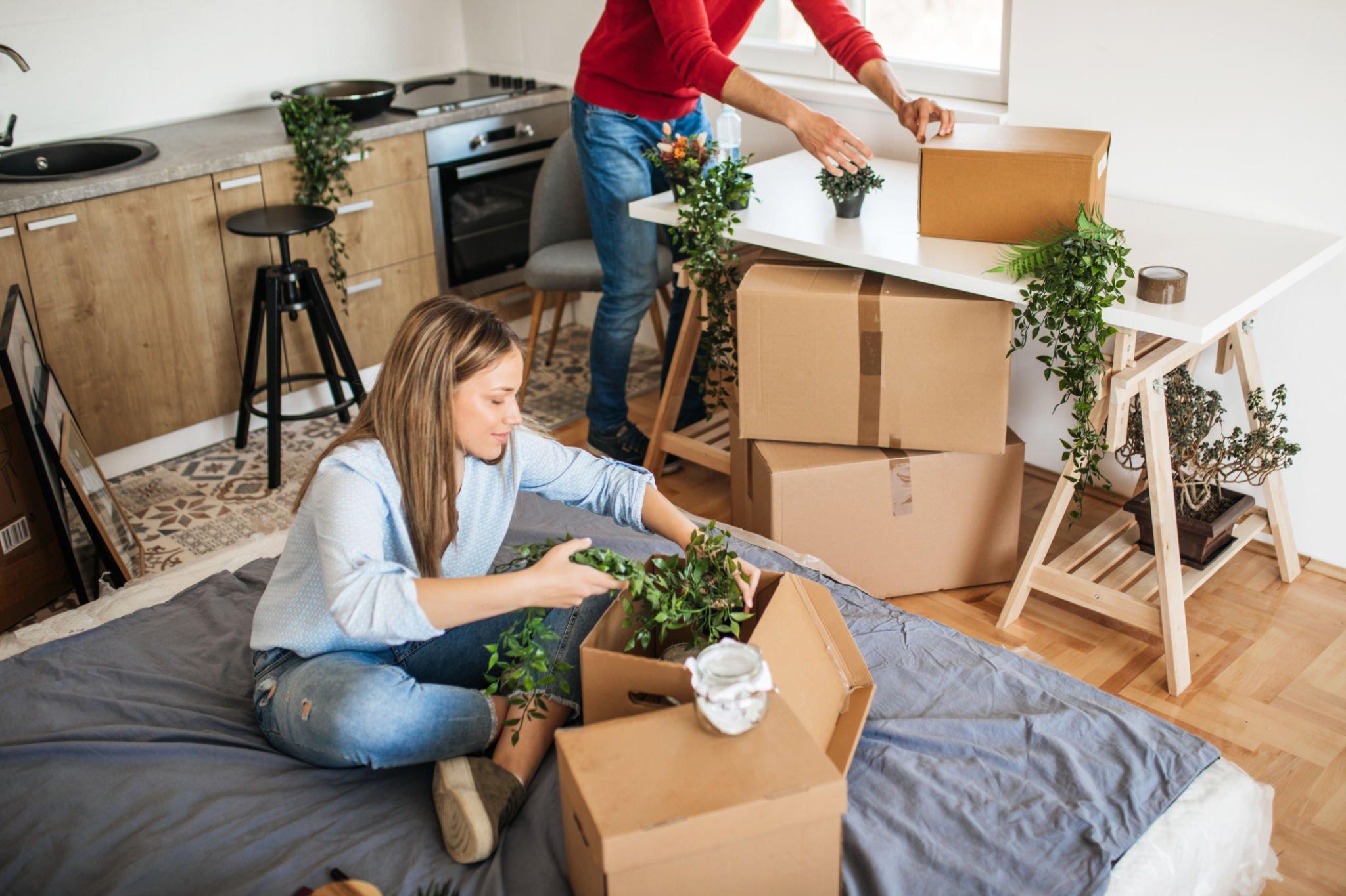 Seamless Moving with A2B Movers San Jose: The Complete Relocation Partner Seamless Moving with A2B Movers San Jose: The Complete Relocation Partner