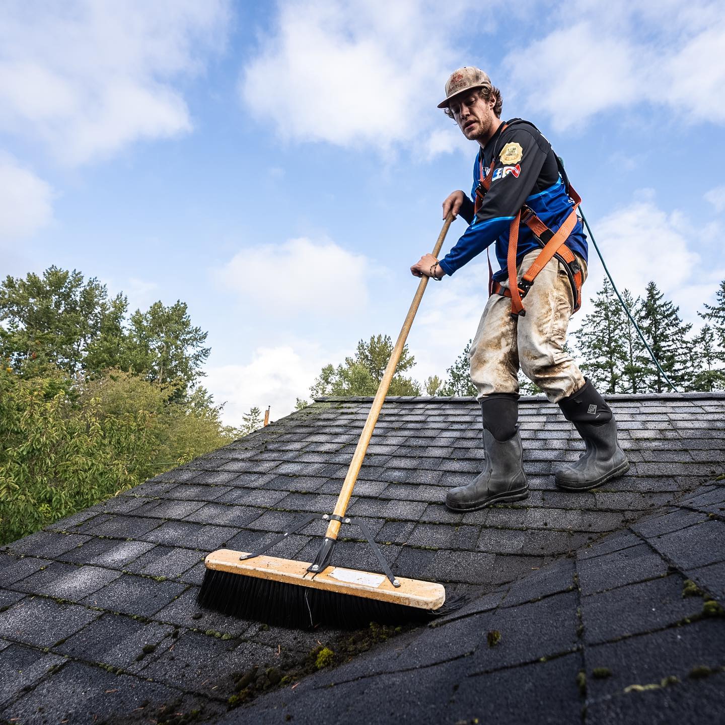 Mt. Baker Window Cleaning Co. Sets the Standard for Roof Moss Removal in Bellingham, WA