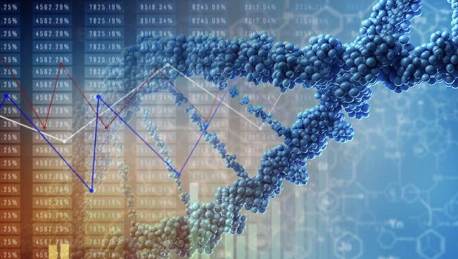 Approaching Potentially Game-Changing Clinical Data: Nuvectis Pharma Reported Strong Q2 2024 Results (NASDAQ: NVCT)